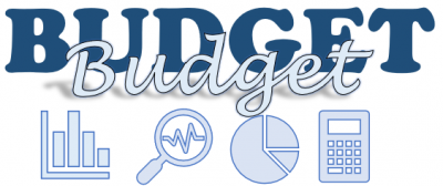Budget Icon